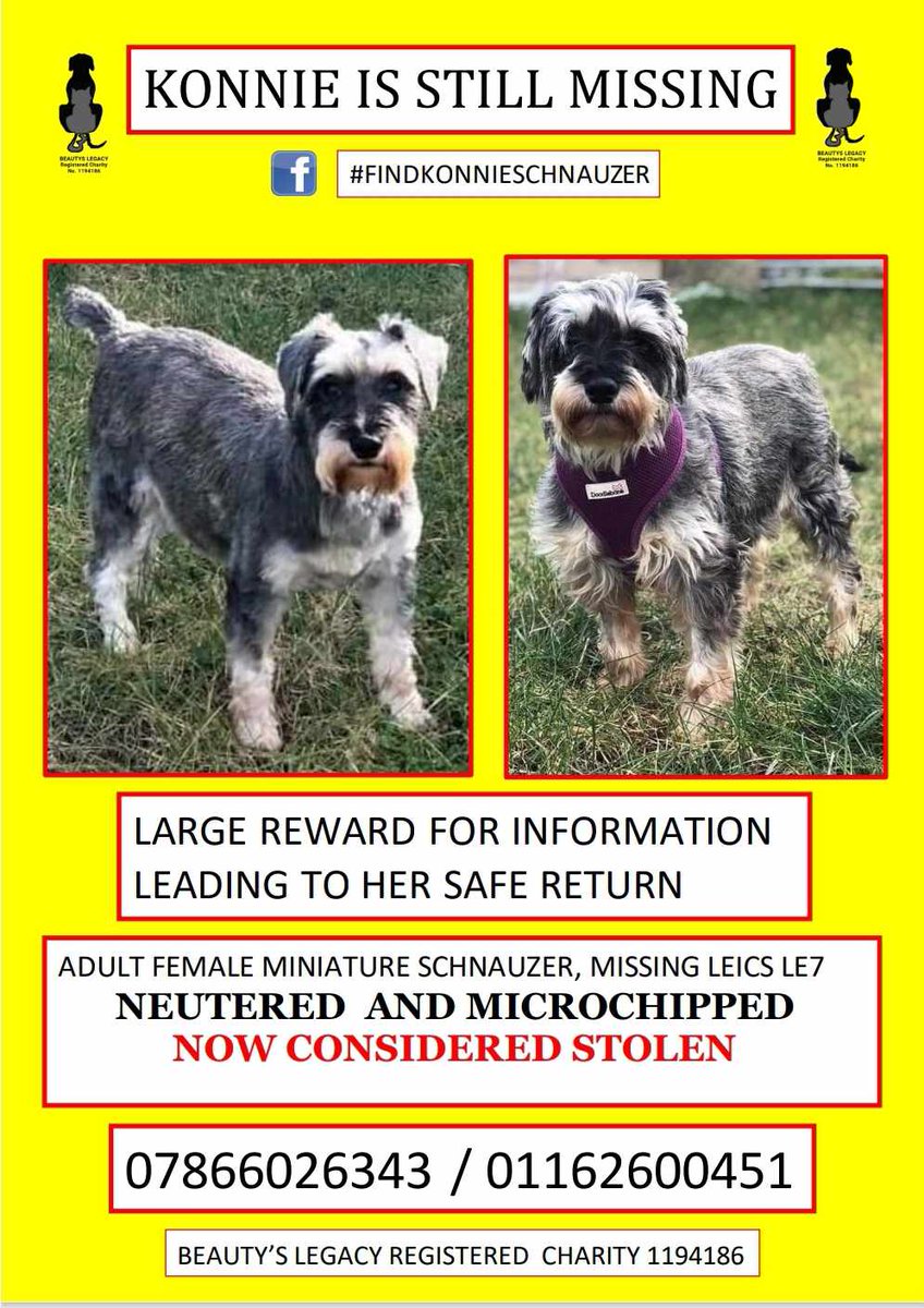 graemegoode's tweet photo. #lostdogslive

Please help to get her home.has anyone you know now got a schnauzer like konnie https://t.co/7r0RLAHinU
