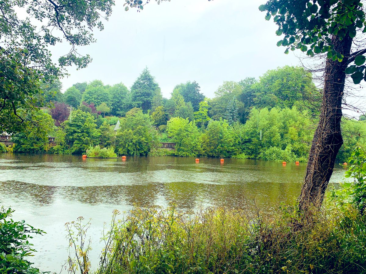 Jo Garzoni tweet media