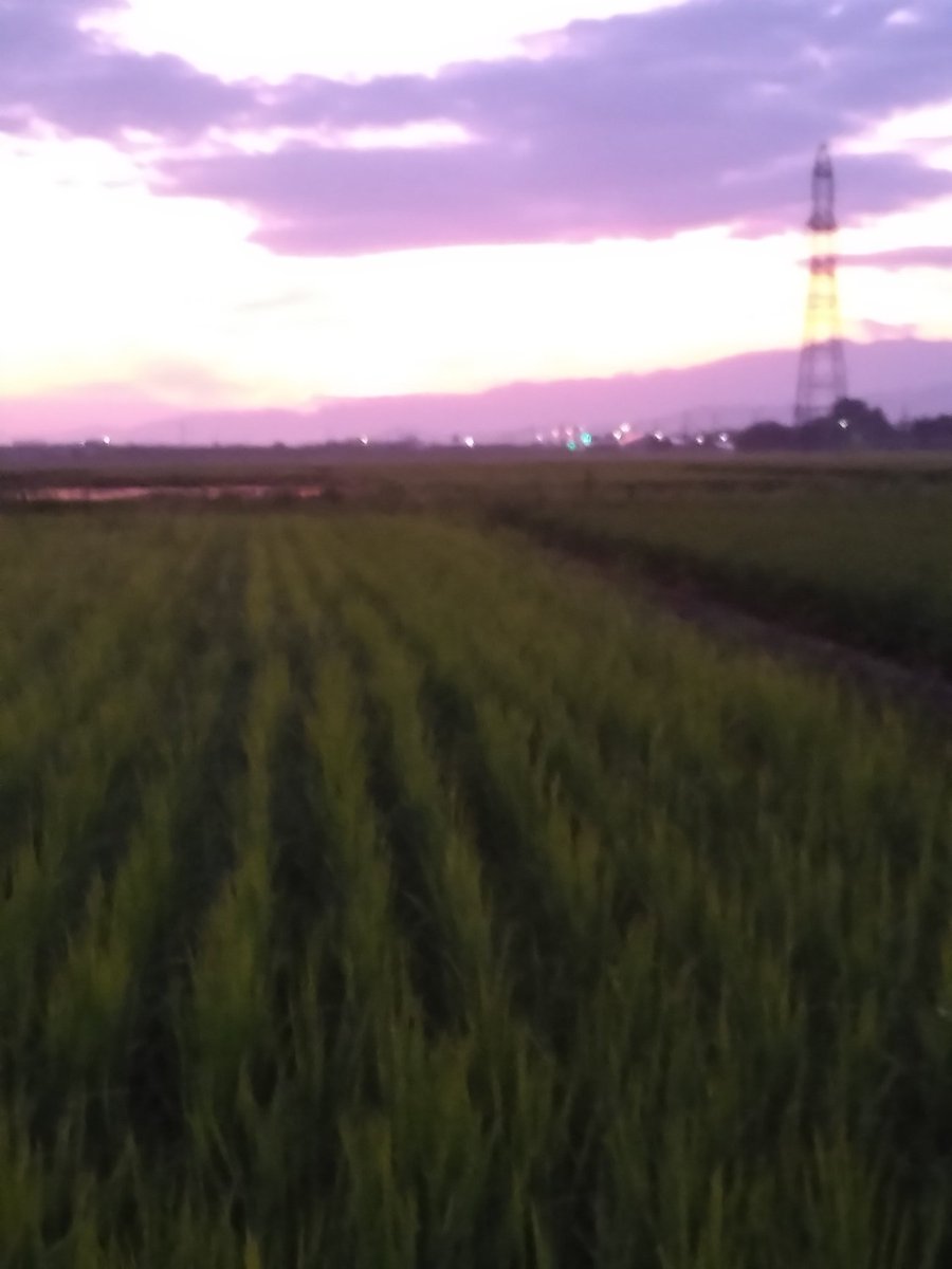 N29Kwi's tweet photo. おはようございます
今日も晴れ☀　朝焼け　体調管理を！ https://t.co/9g4ehRlGFR