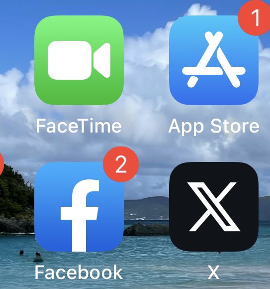 Mary Cushman 🫀🧠🩸 tweet media