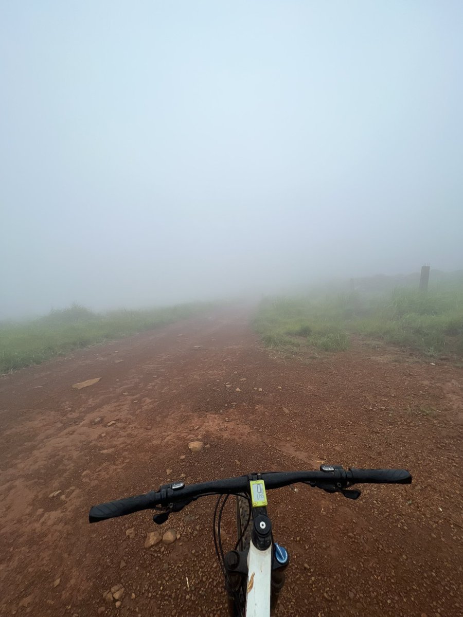 Alex Tee tweet media