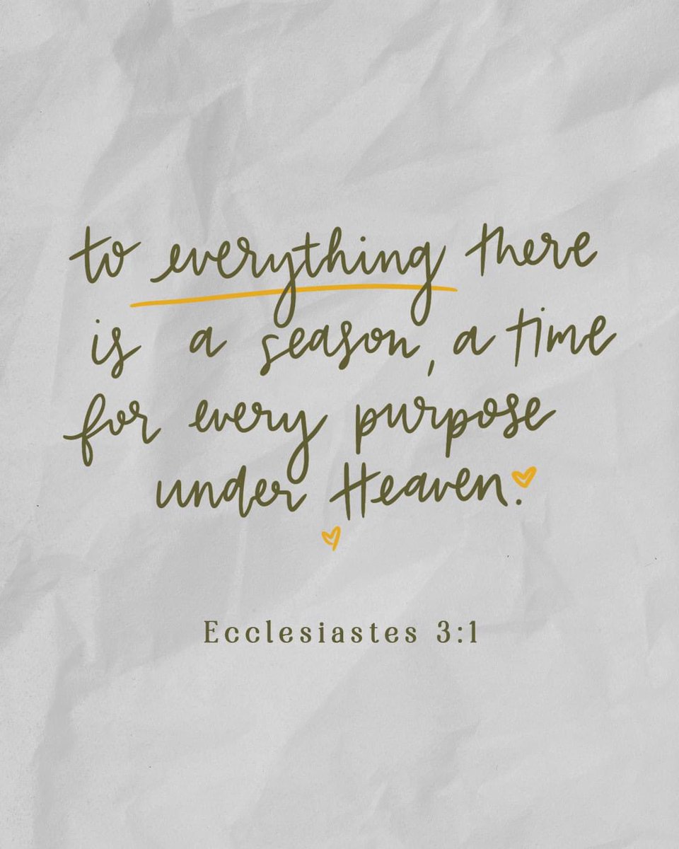 Allison.B (@allison_branch_) on Twitter photo 