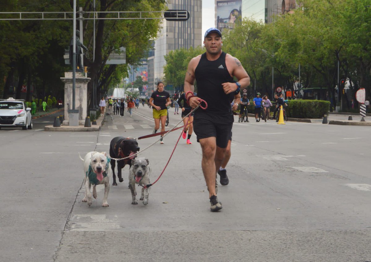 CorreCDMX's tweet photo. ¡Nada mejor que correr la CDMX! 👀

📸| Te compartimos las mejores fotos del Ciclotón https://t.co/f5NGQKPNWi