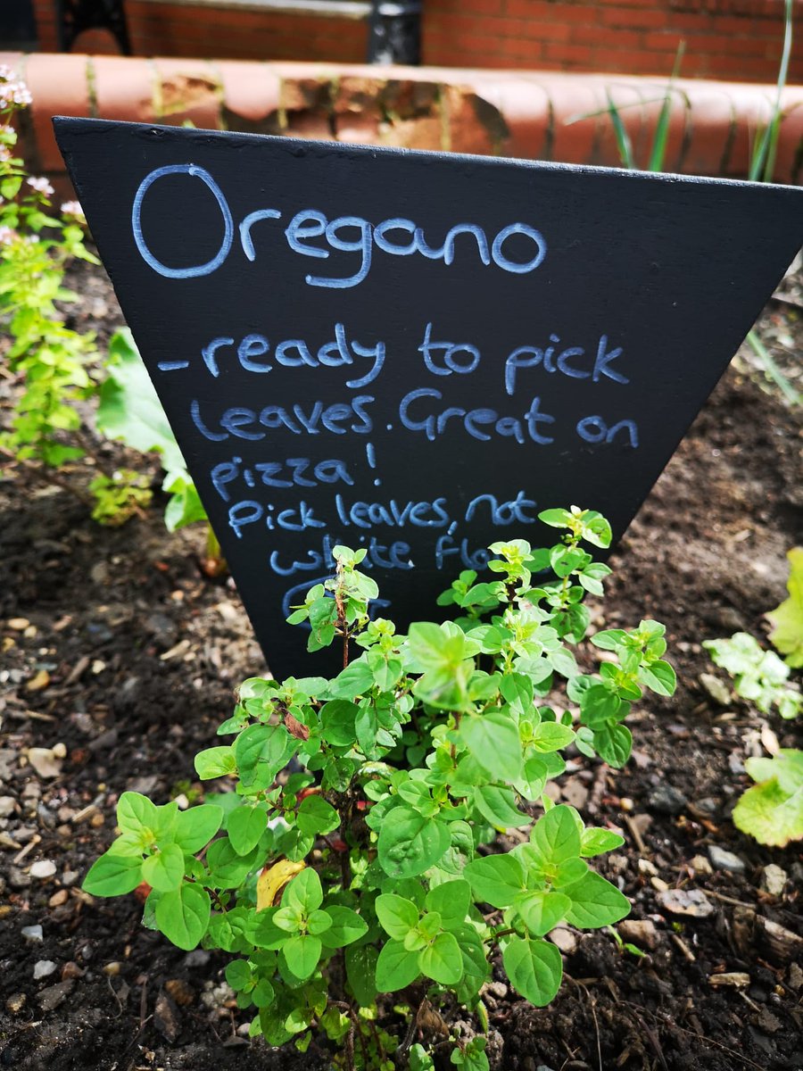 EdibleMorley's tweet photo. The team was out today despite the dodgy weather, tidying up our planters. What do you think of our new signs? They describe what's growing and when it's ready, plus tips on how to use it 😀
#incredibleedible  #leeds https://t.co/oNp1J1x2Gp