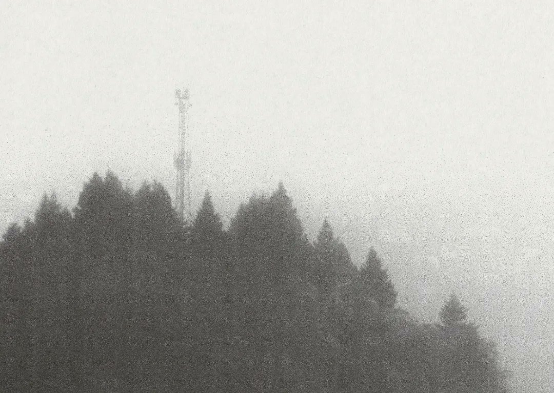 backstage raver 🌲📡 tweet media