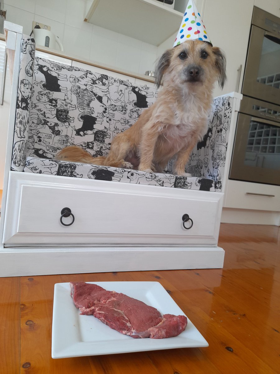 3DogsAust's tweet image. It's my Birthday Everyone! 🎂 I'm 6 years old today.🐶   Look what I'm having for my lunch and dinner.  Yummy! Let the celebrations begin.  #HappyBirthdayCharlieBrown #birthday #food #walks #playtime #Cuddles