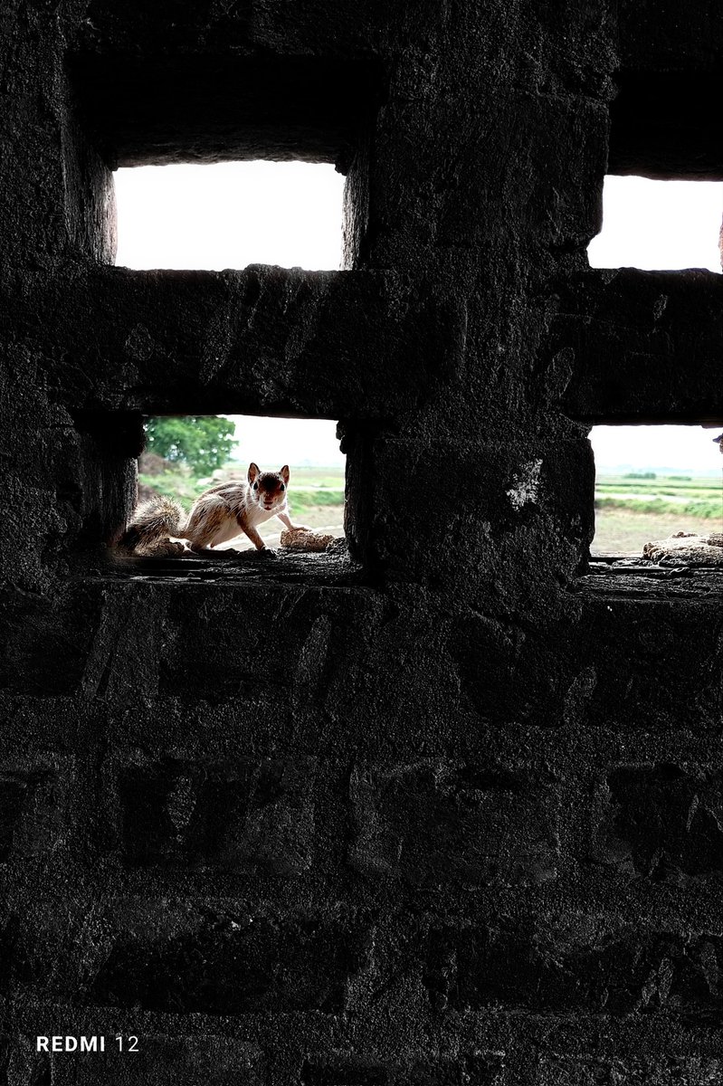 samit_digital's tweet photo. @abigoabi @XiaomiIndia Shot on Redmi 12 https://t.co/8gYB4z44Z0