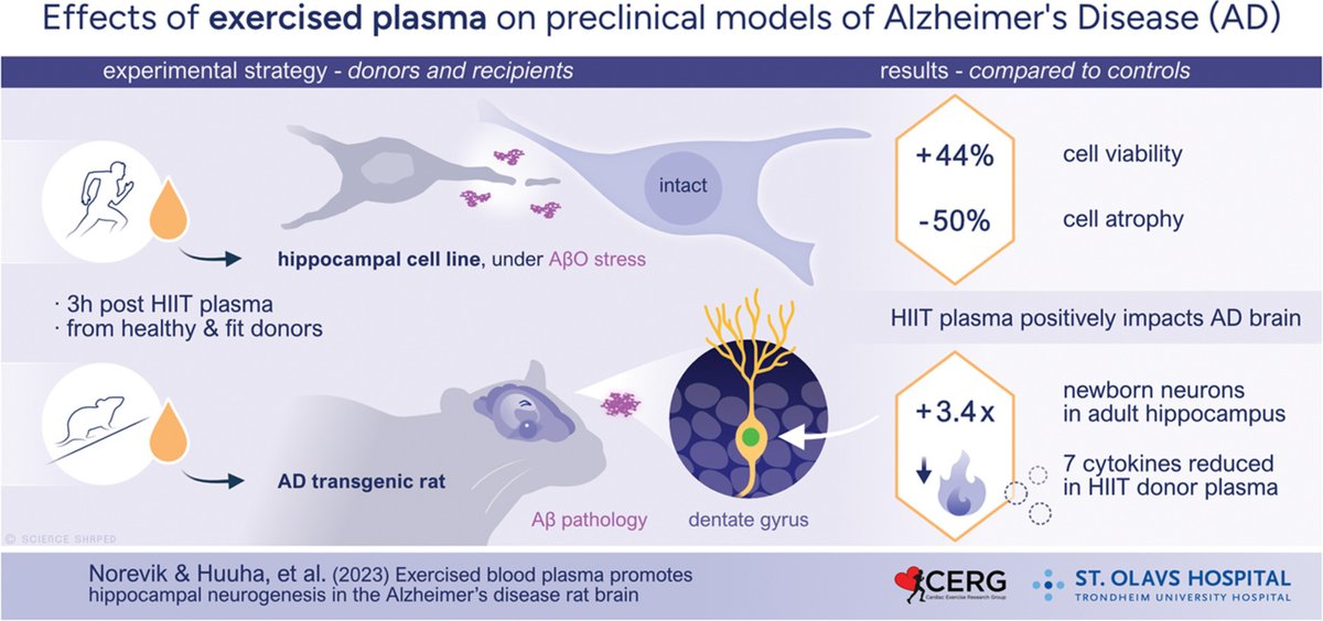 JamesRBroatch's tweet photo. Exercised blood plasma transfusions promote hippocampal neurogenesis in an Alzheimer's Disease rat model

https://t.co/HHeA3bDyXj https://t.co/6pM3RAhGa2