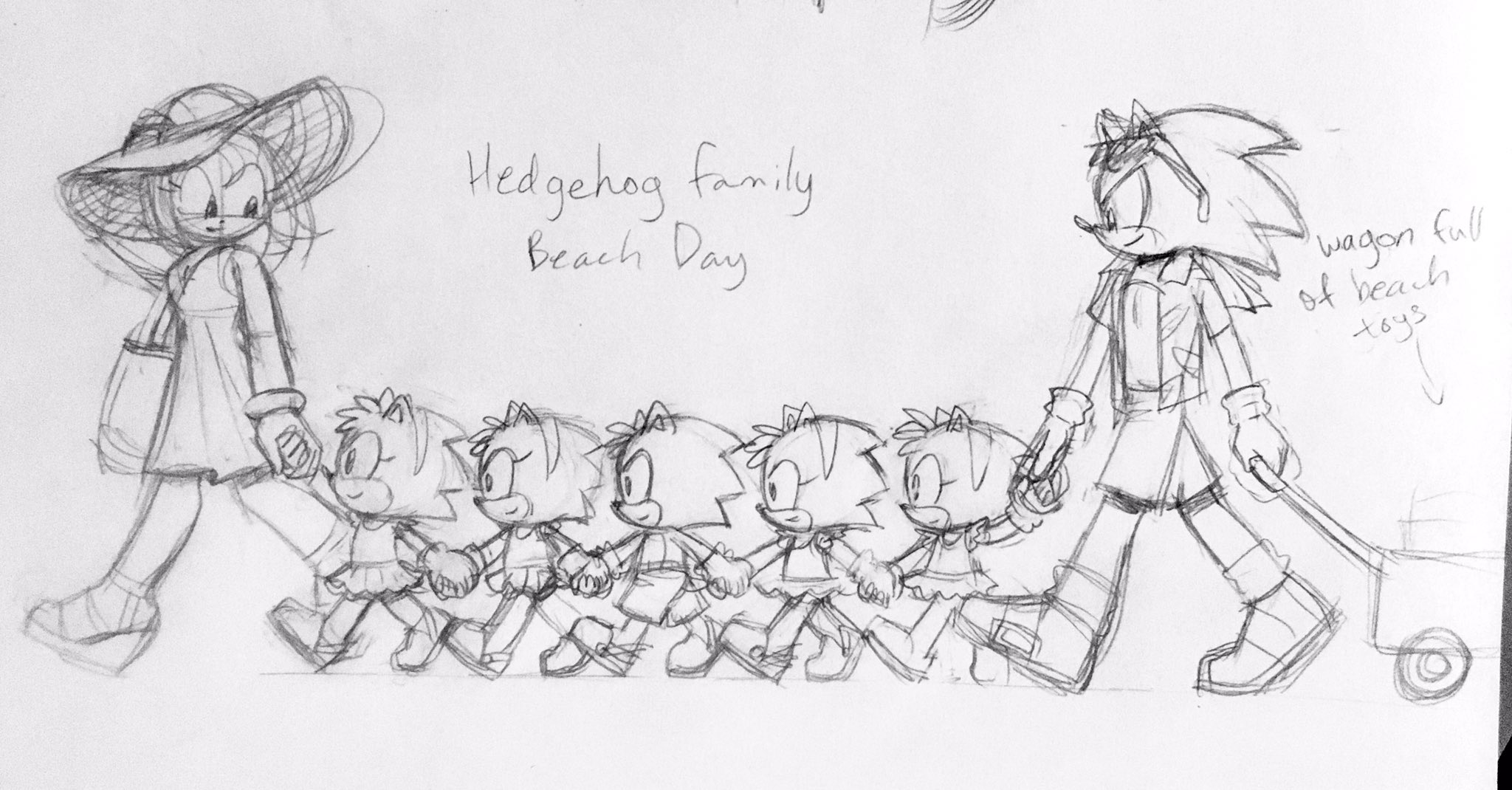 Queenie on X: Finally a decent picture of my Sonamy family! The kids are  quintuplets because real hedgehogs can have litters of 4-6 hoglets,  although some have had as many as 10 (