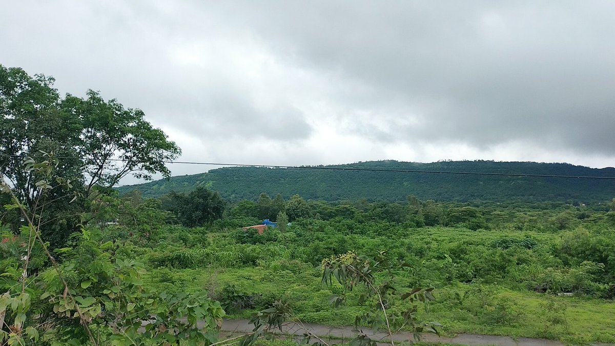 aroy78338's tweet photo. मालूम है कि मुझे ये मुमकिन नहीं,

मगर आस सी रहती है,

कि तुम याद करोगे ! 🙂 https://t.co/ZwoxhOze0V