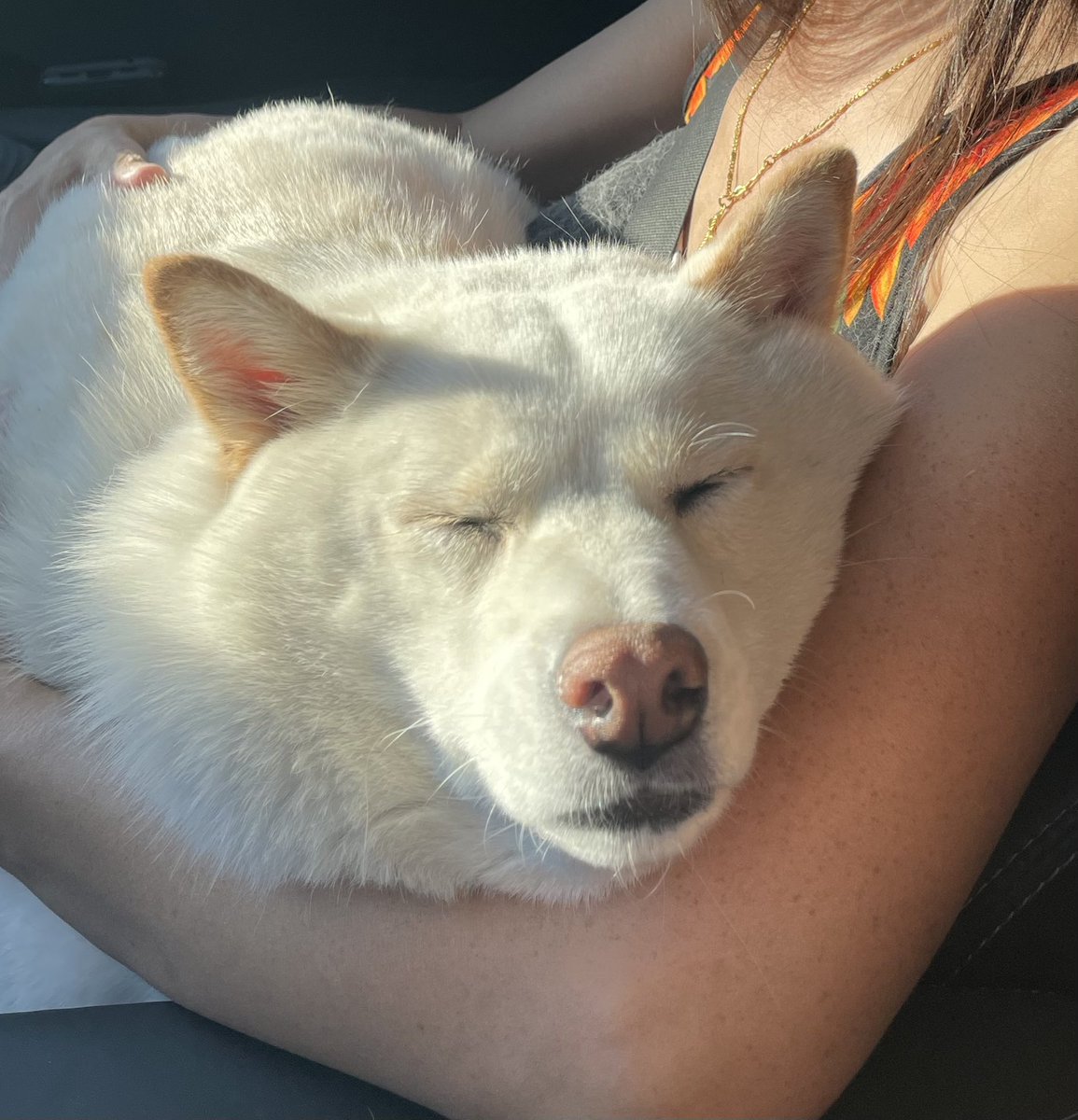Balooz_'s tweet photo. premier stream tn ahahah https://t.co/zLOMpz0ygk