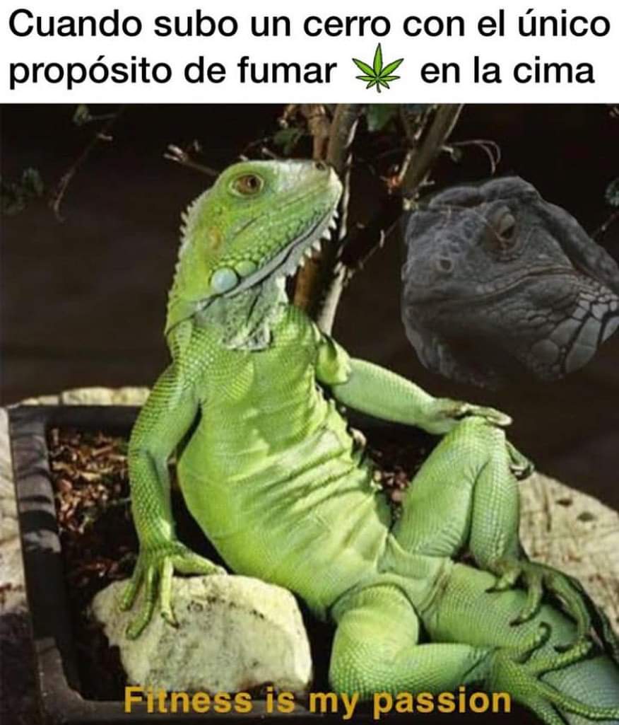Por supuesto qué sí! 😂