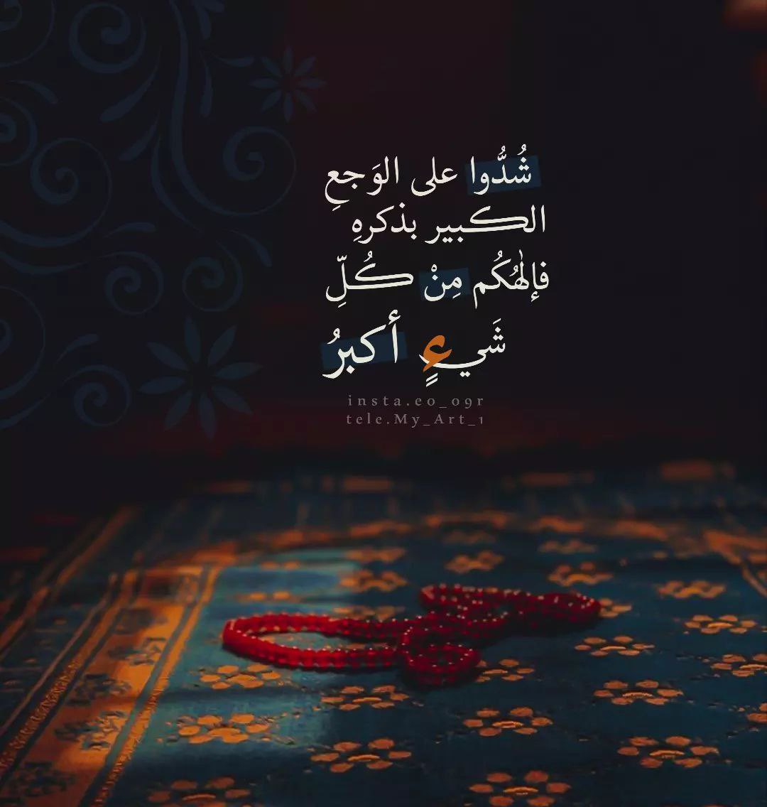 @Amany398) tweet media