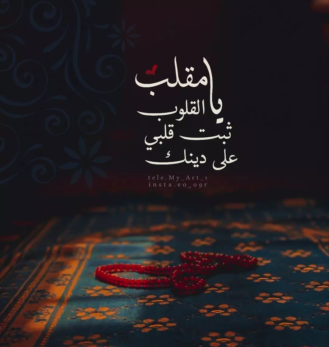 @Amany398) tweet media