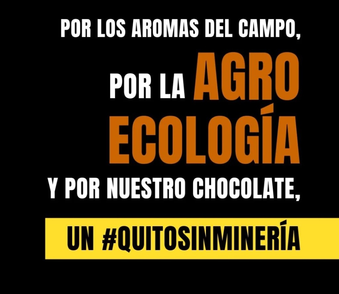 FIAN_Ecuador's tweet photo. El 20 de agosto, tienes la oportunidad de proteger el agua y la biodiversidad del Chocó Andino. Con tu voto, podrás preservar este maravilloso bosque que provee aire puro a Quito y es el hogar de miles de especies de flora y fauna.💦🌳🐻
 ¡Vota 4 veces #SíAlChocóAndino #SíAQuito! https://t.co/pdWKU5JSgy