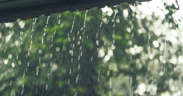 mammoss007's tweet photo. ฝนตกแบบนี้บรรยากาศดี  น่านอนกอดกันมากๆ https://t.co/NpCpGhzdGA