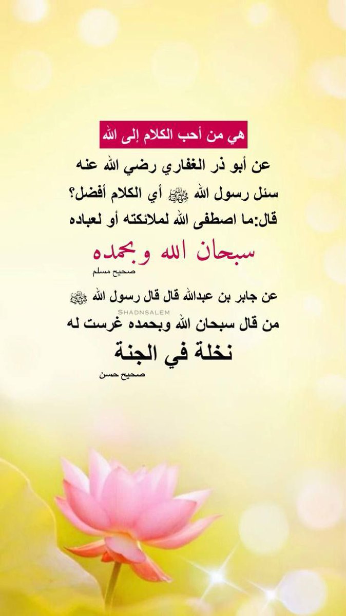 @Amany398) tweet media