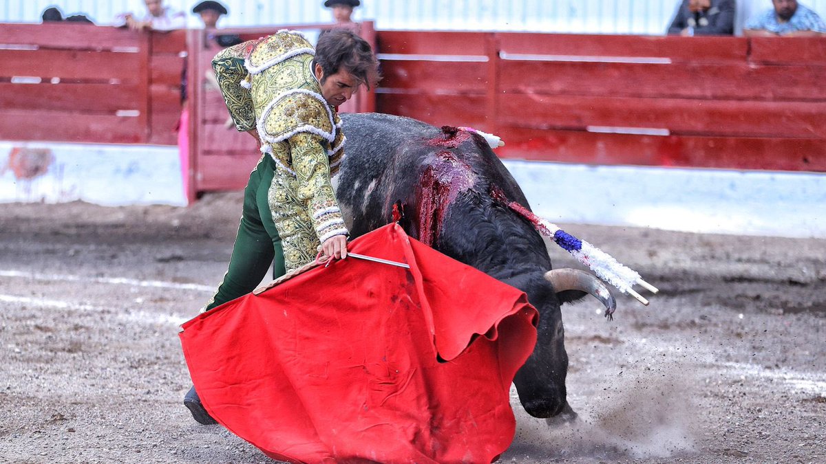 Dos orejas en el segundo de mi lote.

#MacíasEnLagos🇲🇽
#ArturoMacías #VivirEnTorero #LaPasiónLoEsTodo