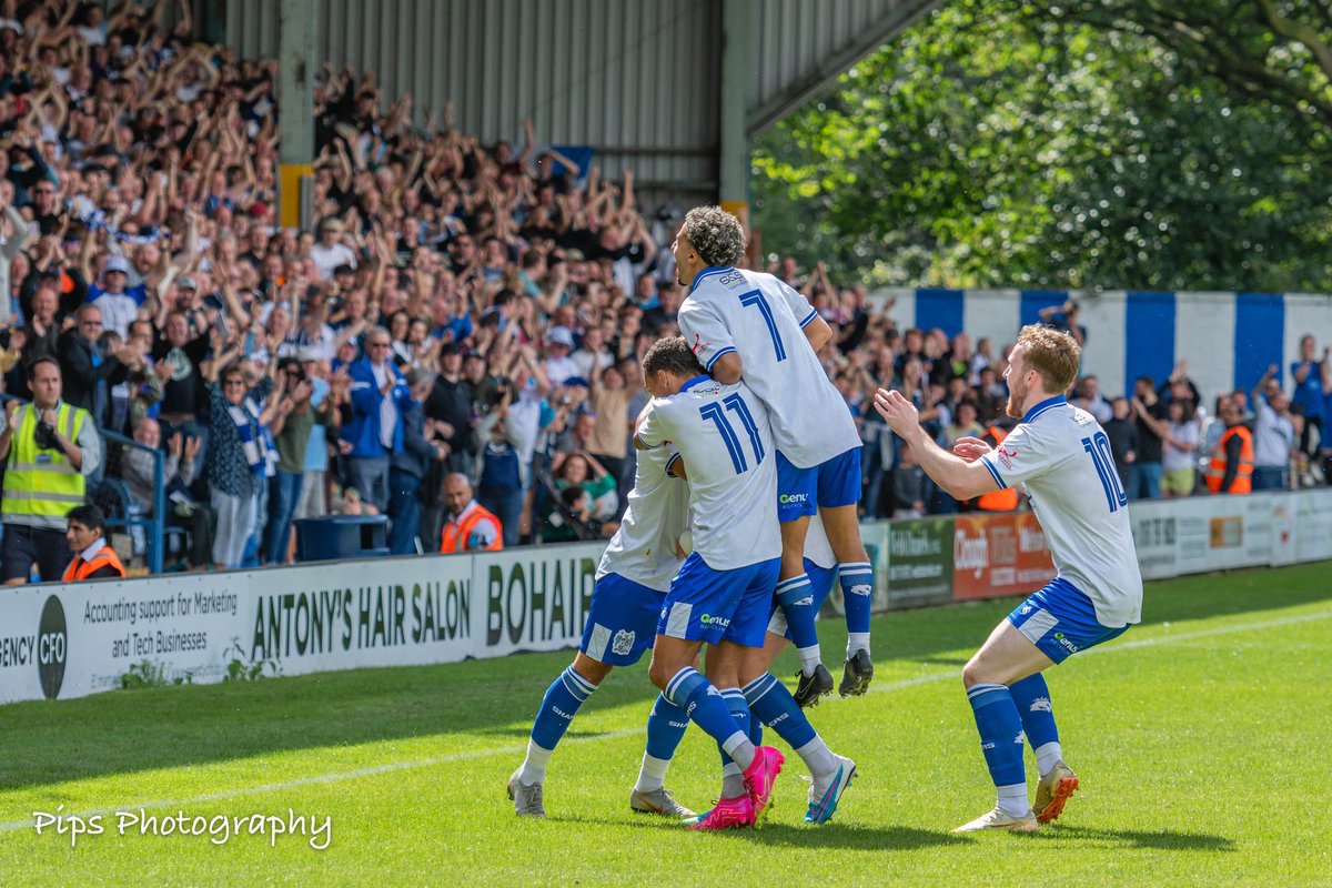 Saj Elhassan tweet media