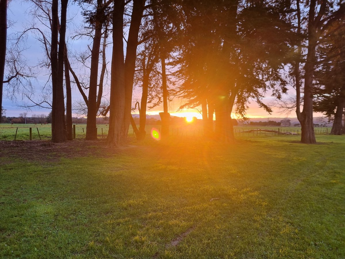 Ata Mārie

This mornings gift!
