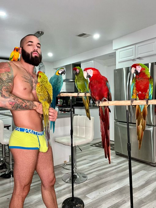 I wish I could turn into a bird 🐣 https://t.co/NbGlGakjcG