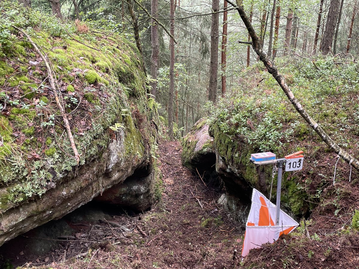 RAFOrienteering's tweet photo. Final stage of the #bohemiaorienteering2023 done. Despite tired legs, RAFO #orienteers managed to get around, quick than expected for most on this longer day. The team is heading to #prague before catching a flight back to the UK. @RoyalAirForce @RAFCentralFund @HQRAFSport https://t.co/ttWnk4vDY6