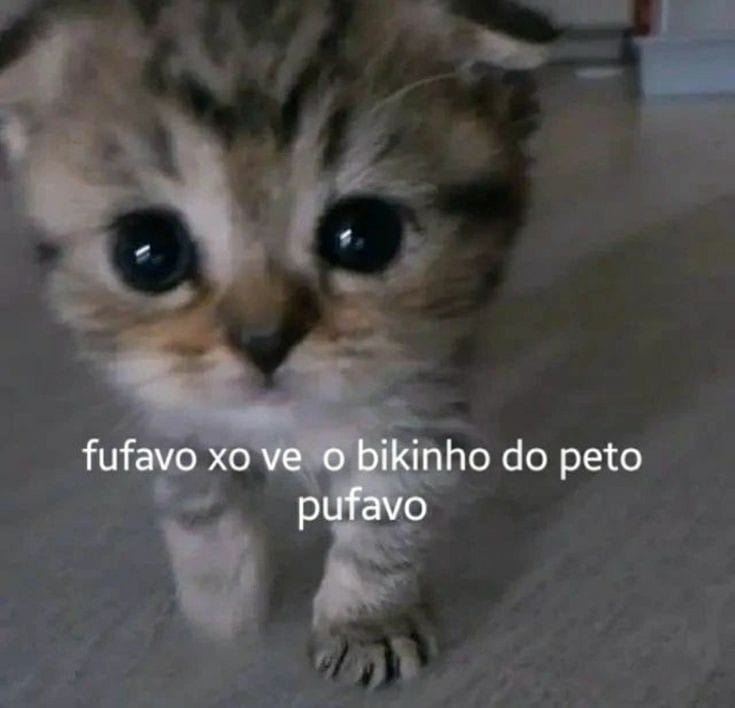 odeiootaco's tweet photo. https://t.co/FDICdp2kTP