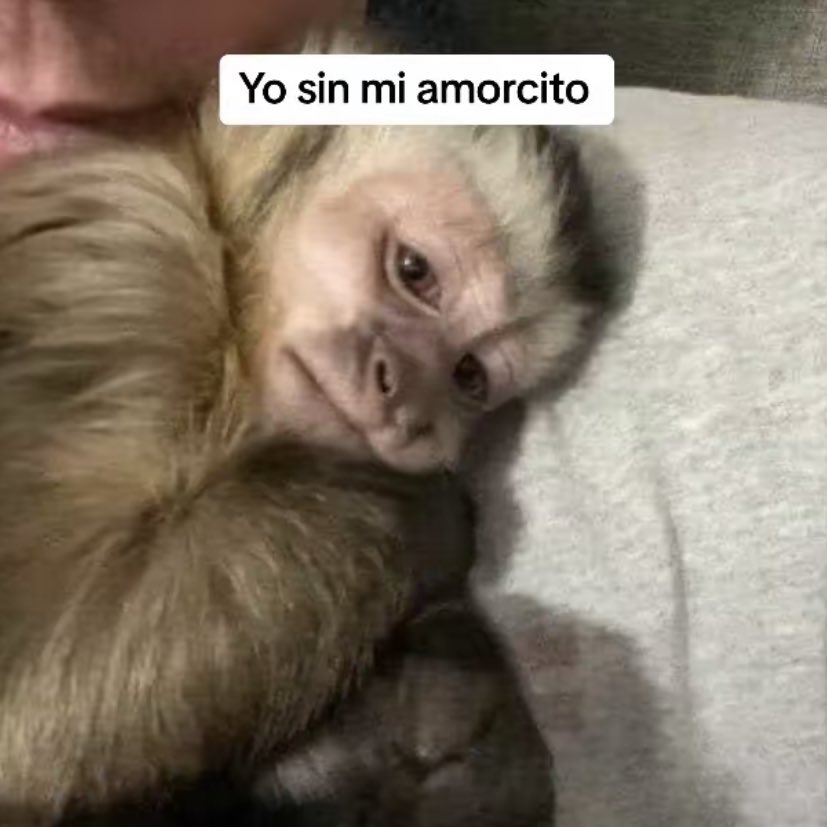 💔💔💔