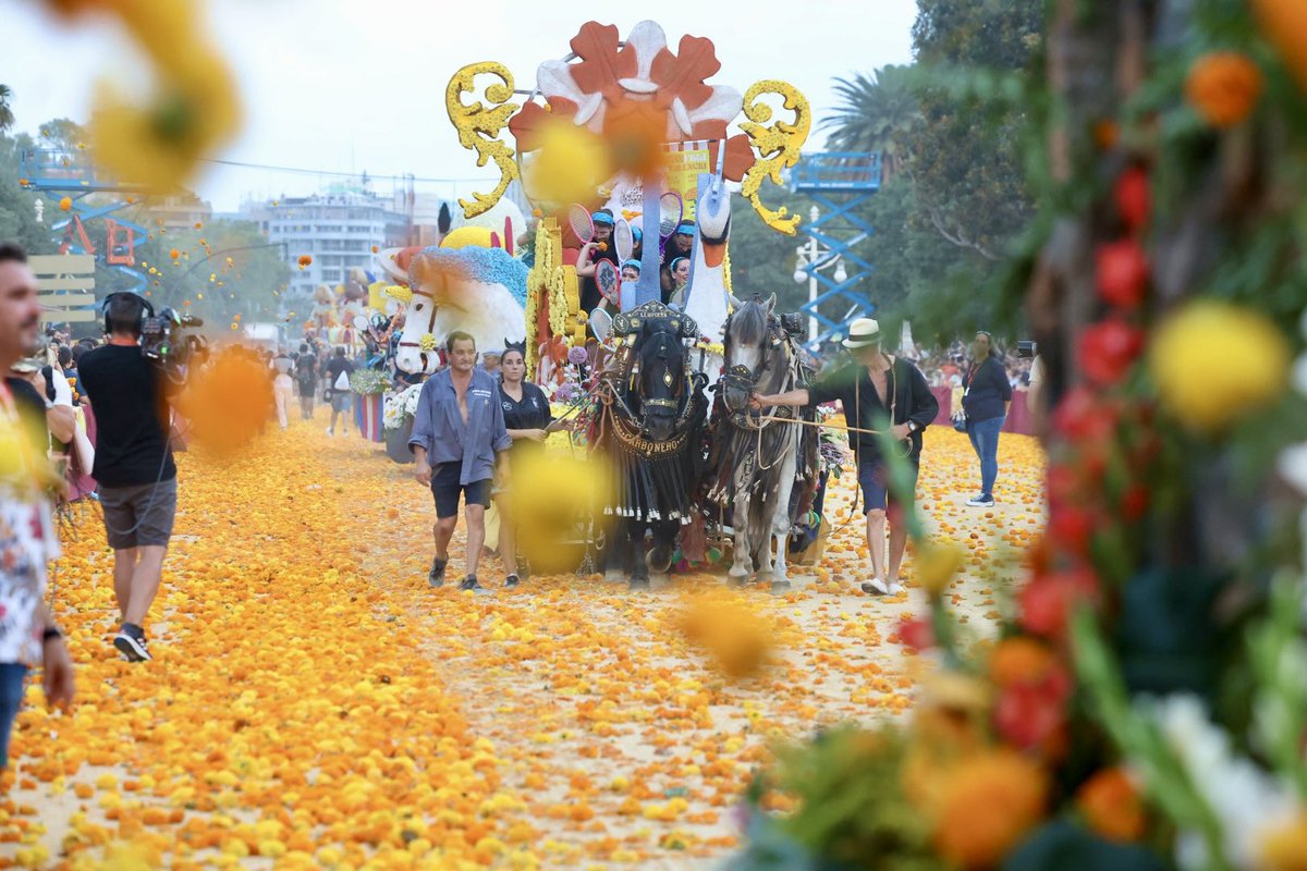 JCF_Valencia's tweet photo. 🌸🎉 La Batalla més pacífica i floral del món ha tornat a omplir de color l’Albereda, amb 1,2 milions de clavellons. El món faller ha participat i acudit en massa a gaudir d’un dels espectacles més especials de l’any. 🏵✨

Gràcies a tots per acompanyar-nos! ❤️‍���

#BatalladeFlors https://t.co/vO1HI2ripx