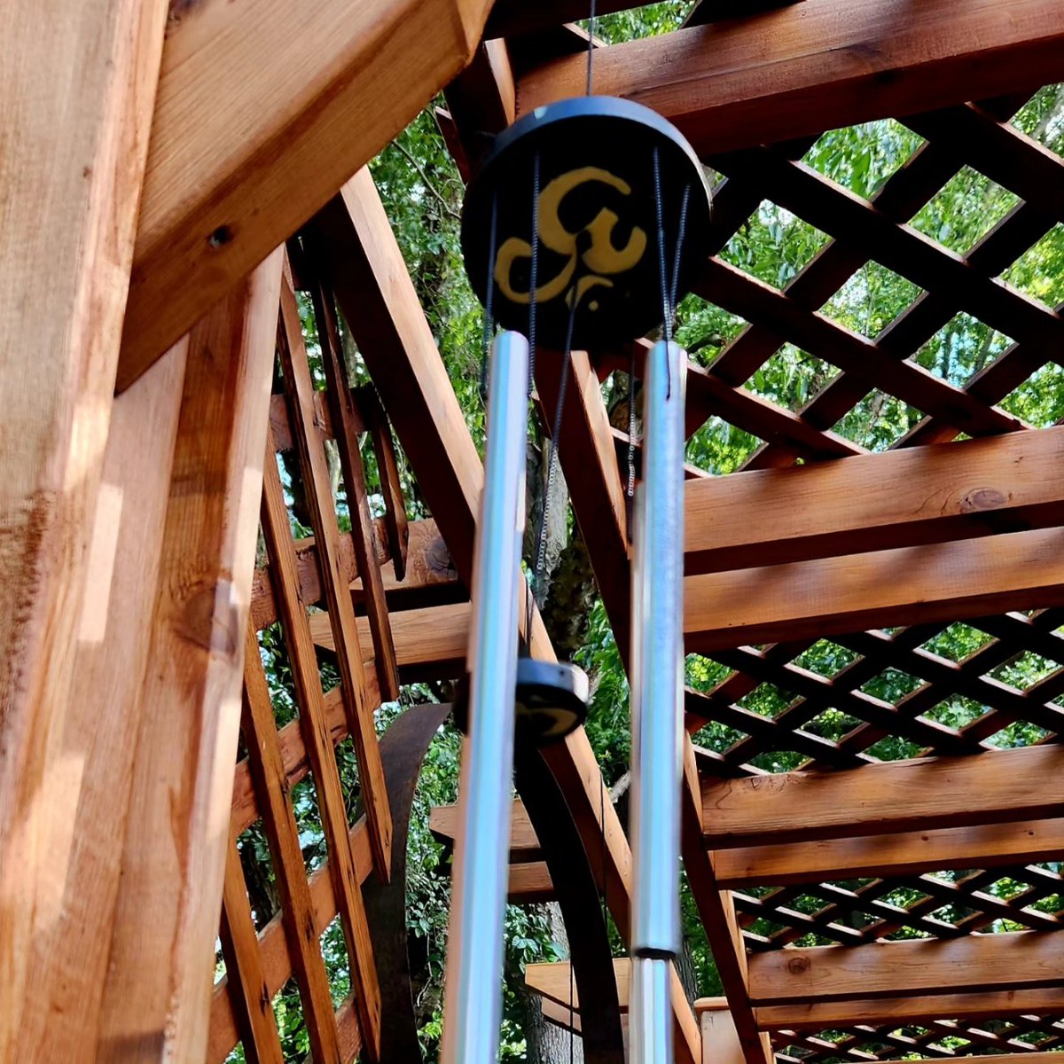 Steve Chisnell tweet media