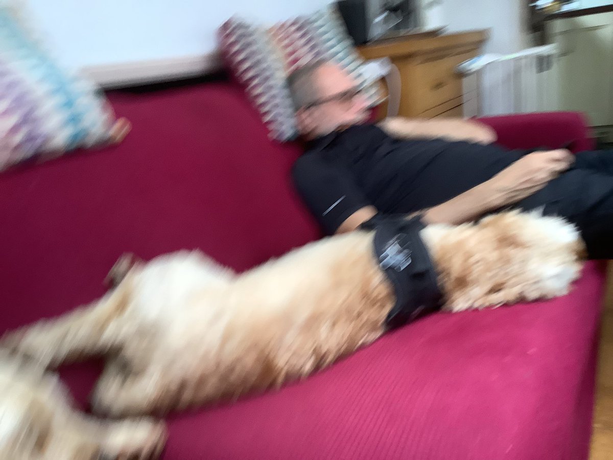 ODoodles1's tweet photo. @jennystape  we would have been on to say happy birthday earlier  Uncle Rupes…but it’s been one of them days here!  4 hours and one walk between pics https://t.co/kFgNEbfvSm
