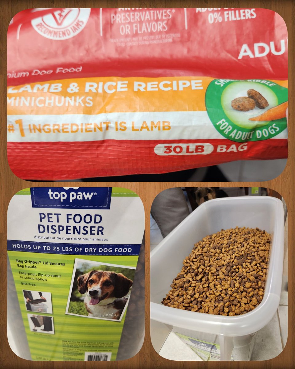 deordon's tweet photo. Bought this 30 pound bag of dog food today knowing our dog food container only held 25 pounds. The 30 pound bag of dog food didn't even fill up our 25 pound container. #falseadvertising @IAMS https://t.co/myRvUOZaO0