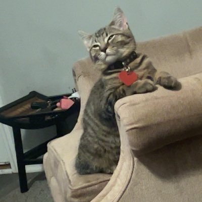 DamSam91718691's tweet photo. #NewProfilePic https://t.co/ESZXA2ohUW