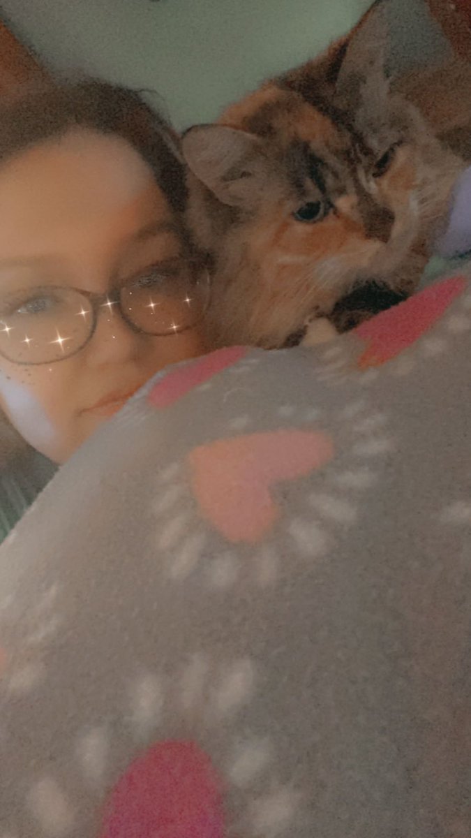 anna_malave94's tweet photo. two terrible weeks where i’ve had to say goodbye to the two of you back to back. i’ll always cherish you two angels i know you are in a better place though 💕 fly high my kitty angels https://t.co/Brfhw9pXyi