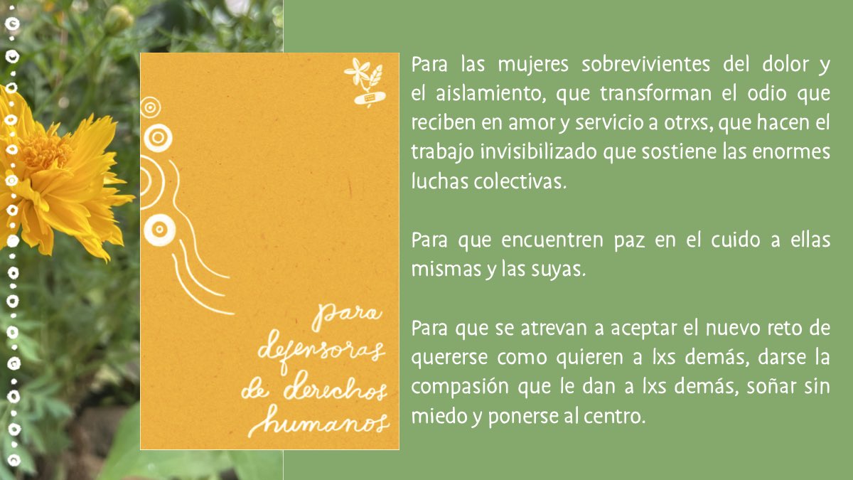 Les presentamos con alegría y agradecimiento profundo, el material que creamos pensando en el trabajo por la defensa de Derechos Humanos. 🌼

Da clic aquí: sanarnicaragua.org/journalparadef…
