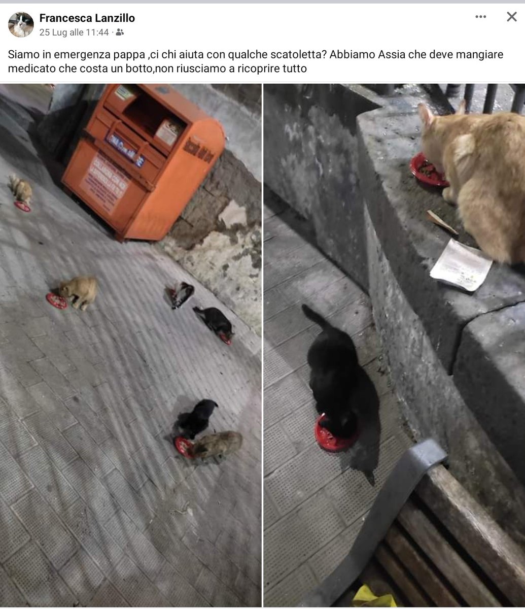 unonlus's tweet photo. https://t.co/YoCta7g0N4
Chi volesse mandarle cibo la contatti รจ davvero in emergenza ๐๐๐๐๐๏ธ๐๏ธ๐๏ธ๐๏ธ
#aiutaunrandagio #francescal https://t.co/qgJlcQgxCg