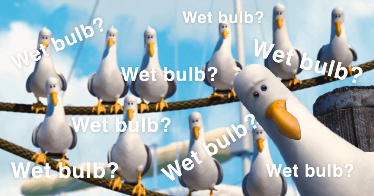 hannahleigh_ATC's tweet image. Football players on a hot day (everyday) be like