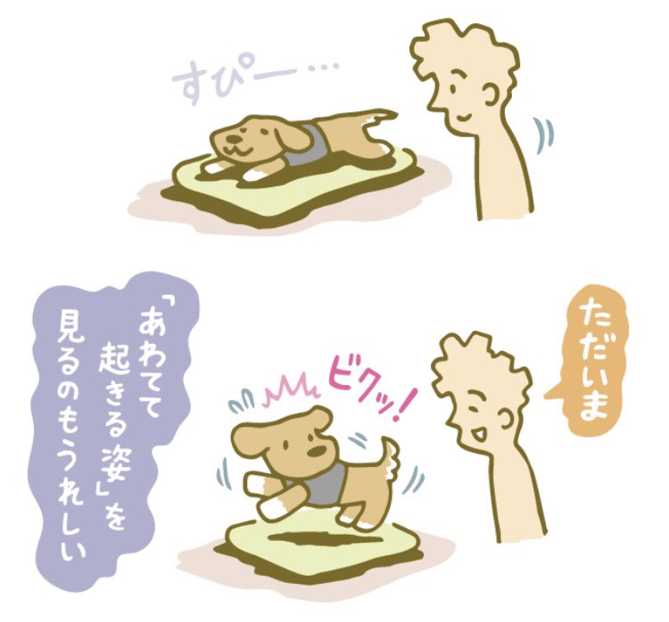 #犬のいる幸せ 