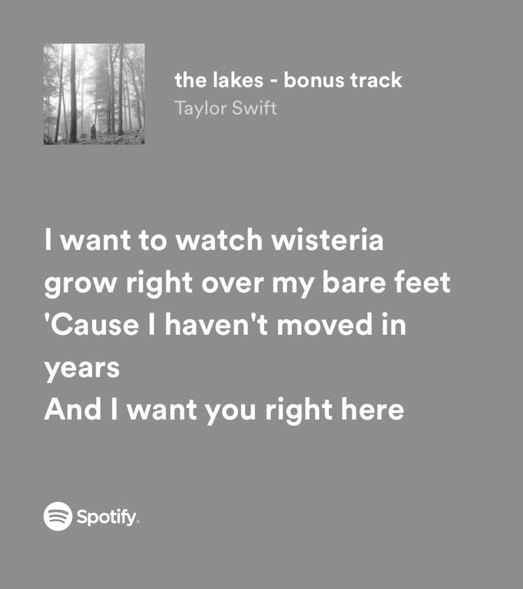 ❦ | 🫧🪻🪐 tweet media