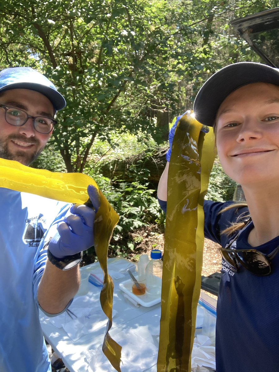 Clay Steell tweet media