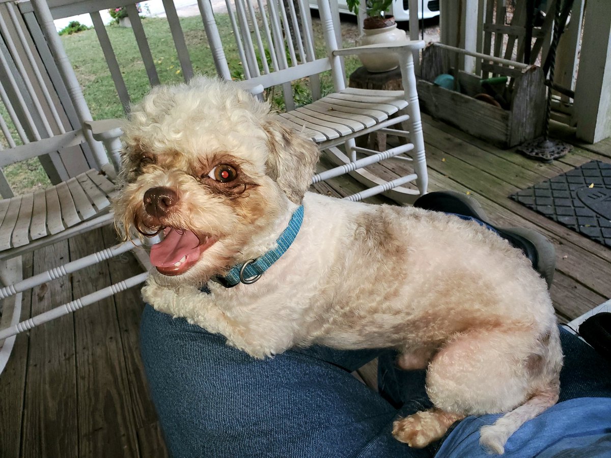 Enjoying swinging in my most favorite seat!