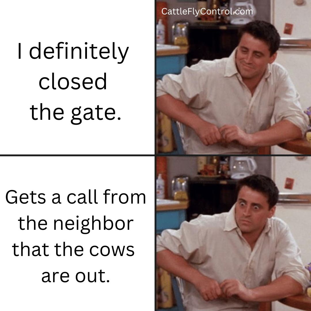 MikaylaSchaefer's tweet photo. People sometimes laugh that I get paid to manage social accounts... even harder when I tell them I make memes... but somedays are harder than others to come up with funny content 🤷‍♀️ https://t.co/s6aqzF65nT