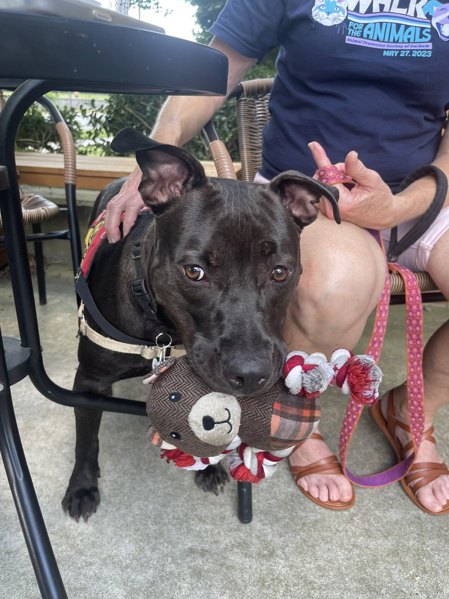 🌈 Meghan the PitPlott tweet media