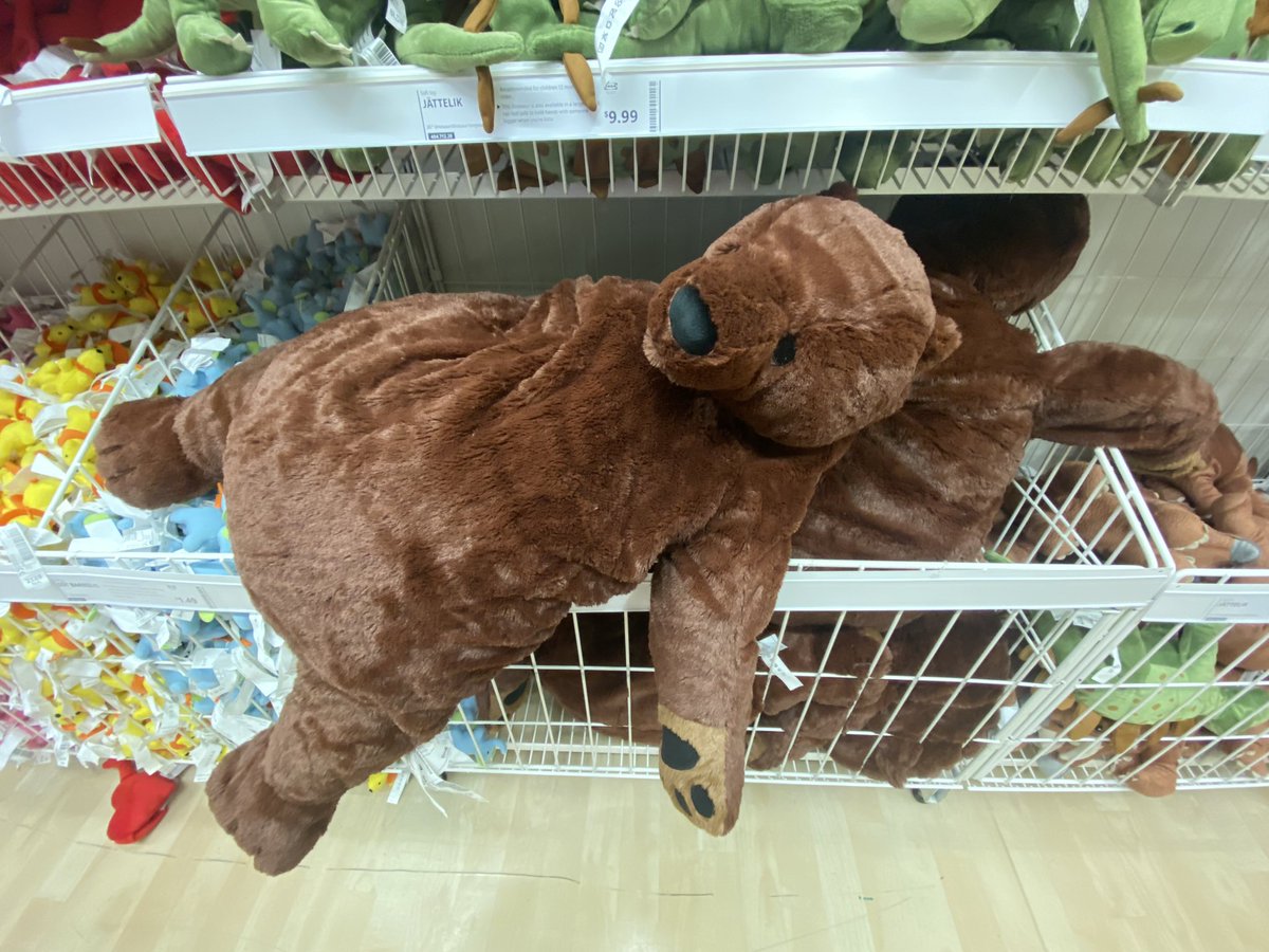 walrus0perator's tweet photo. falling to my knees in IKEA….. https://t.co/MY4oBhwur8