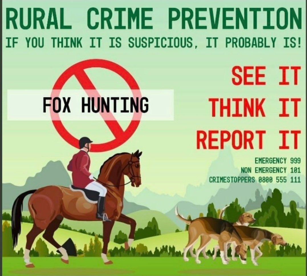 @timerich @RishiSunak @DefraGovUK @LancsPolice #Foxhunts, both #mounted &  #FellPack, are nothing more, nothing less, than blatant #OrganisedCrimeGangs 
Let's REALLY End #Hunting 
@Cumbriapolice @CumberlandSays @BBC_Cumbria @CumbriaUni @TLWforCumbria @CumbriaChief @CumbriaLive 
#TrailHuntLies=#OrganisedCrime 
@ProtectTheWild_