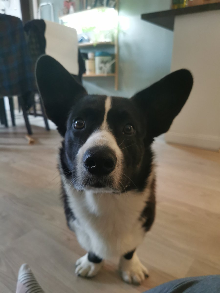 Julie Eilén 🏳️‍🌈 (@julieeilen) on Twitter photo 