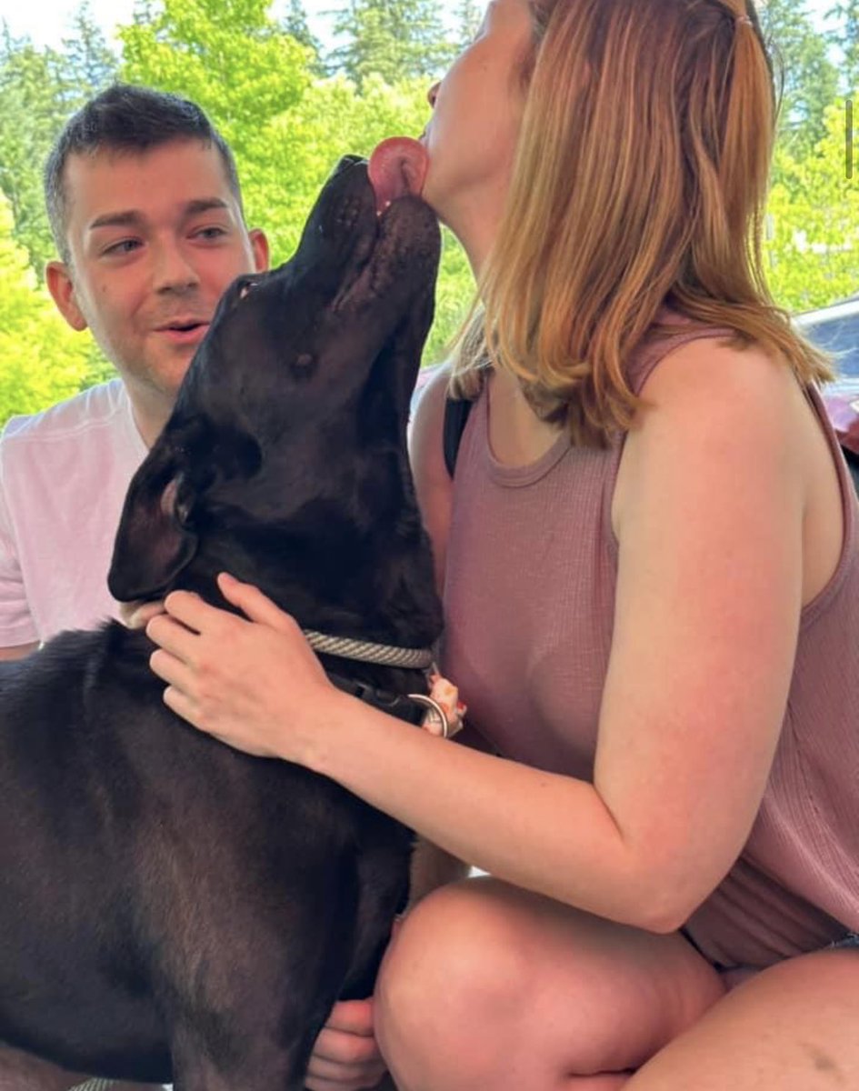 DogGoneSeattle's tweet photo. Paso Doble was a #KidFest yesterday. Oh my, look at this sweet boy! What a lover! โค๏ธ https://t.co/RzJPiHRuEg
