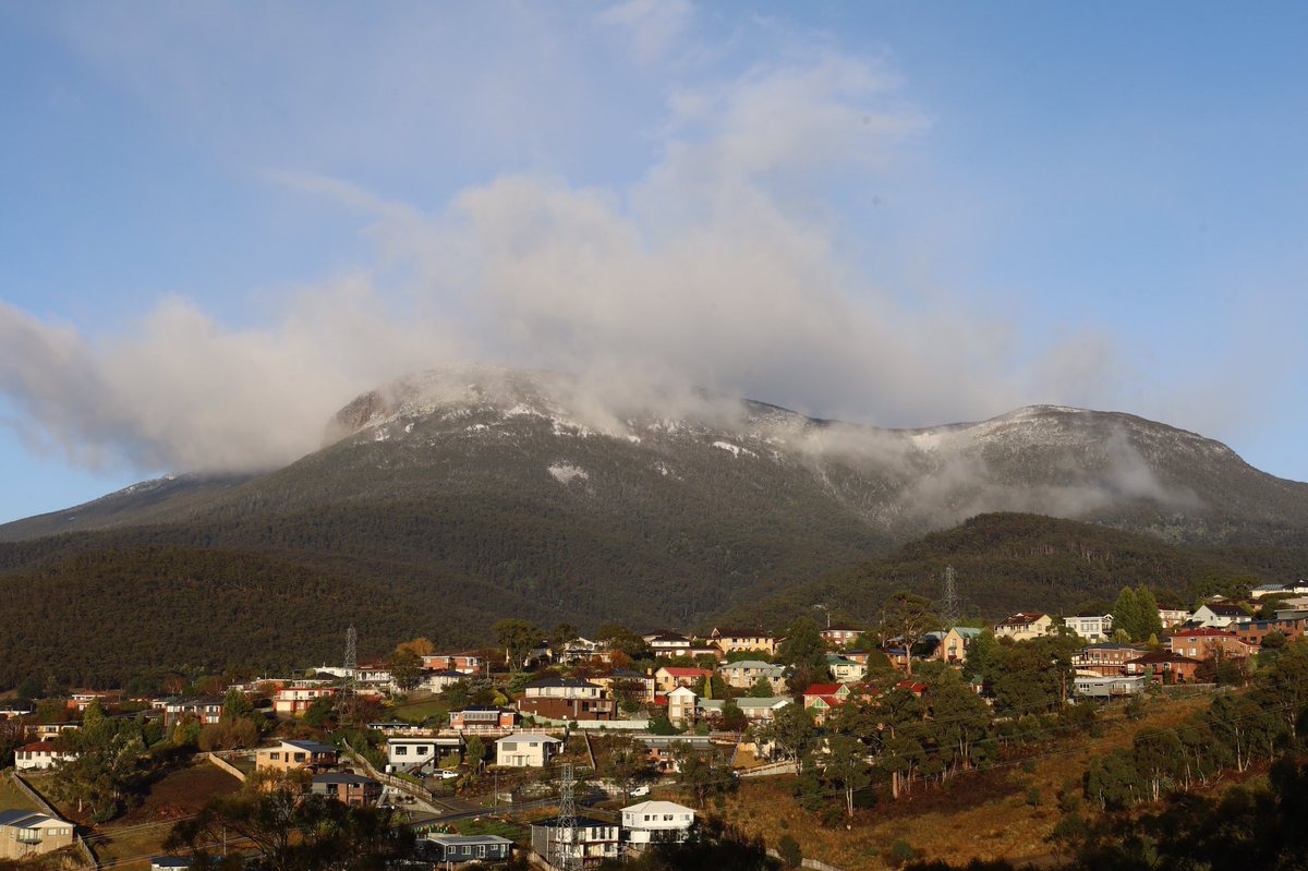 Loretta Lohberger tweet media