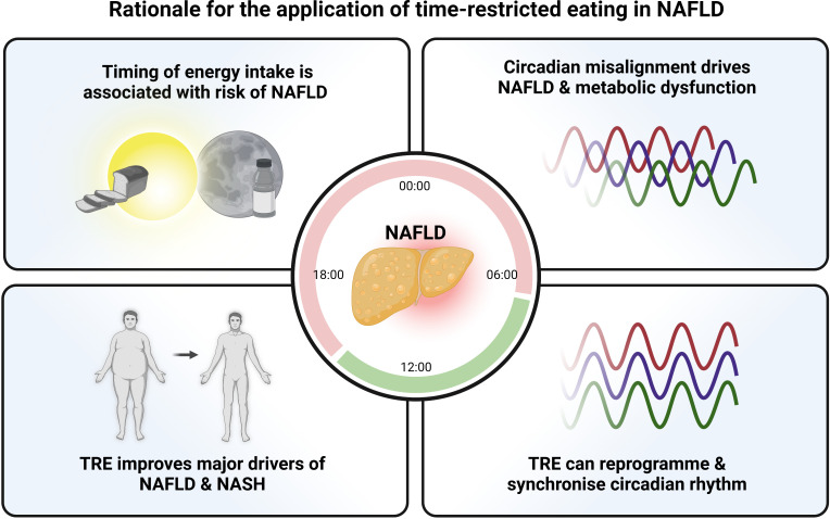 ExposomeHealth's tweet photo. #circadian #TimeRestricted #Eating #TRE #NAFLD https://t.co/CsAM6tp9b3