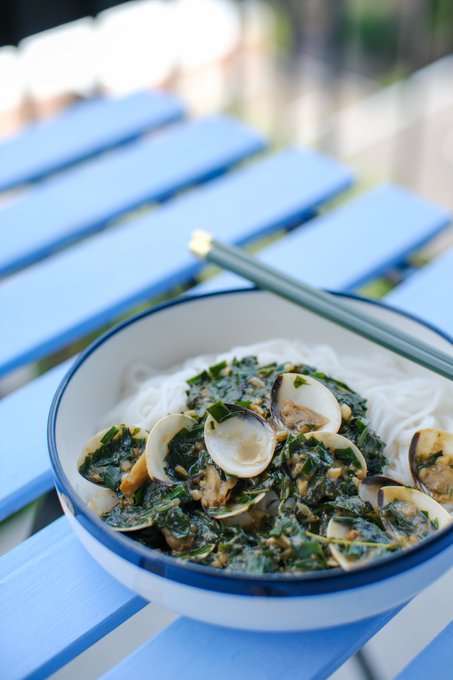 This dish makes the summer last longer!  Miso &amp; herbs clams on a bed of cold rice noodles. 🍜✨😍 ✨👉 https://t<a href="/tag/summer"class="tags"><span>#summer</span></a><a href="/tag/clams"class="tags"><span>#clams</span></a><a href="/tag/recipe"class="tags"><span>#recipe</span></a><a href="/tag/patreon"class="tags"><span>#patreon</span></a>